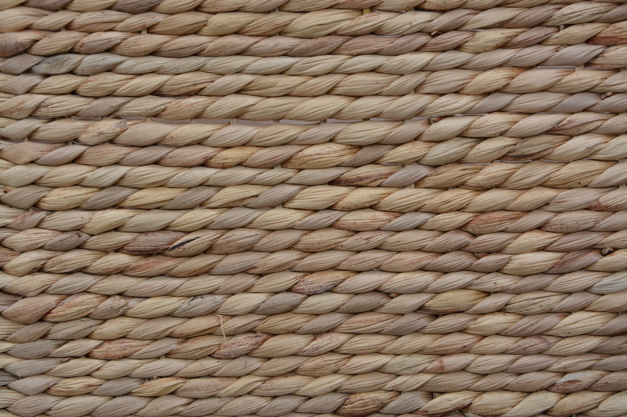Tapis De Couloir Jonc De Mer